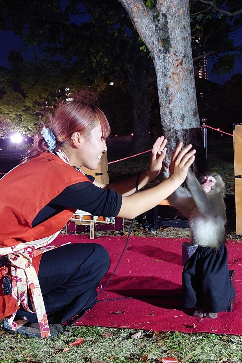 大阪城🏯西の丸庭園 (4/11)

🌸公演はこの西の丸庭園で連日頑張ってました🥹
ラストスパート…明日も頑張れ❗
「ベスティーズ」🐒🫶👩

#Besties-ベスティーズ-
#ジャッキーくん・咲笑トレーナー
#二助企画
#神戸モンキーズ
#猿まわし