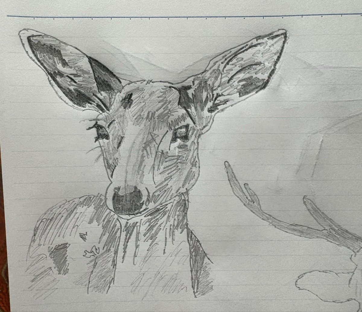 tororo🐒 tweet media