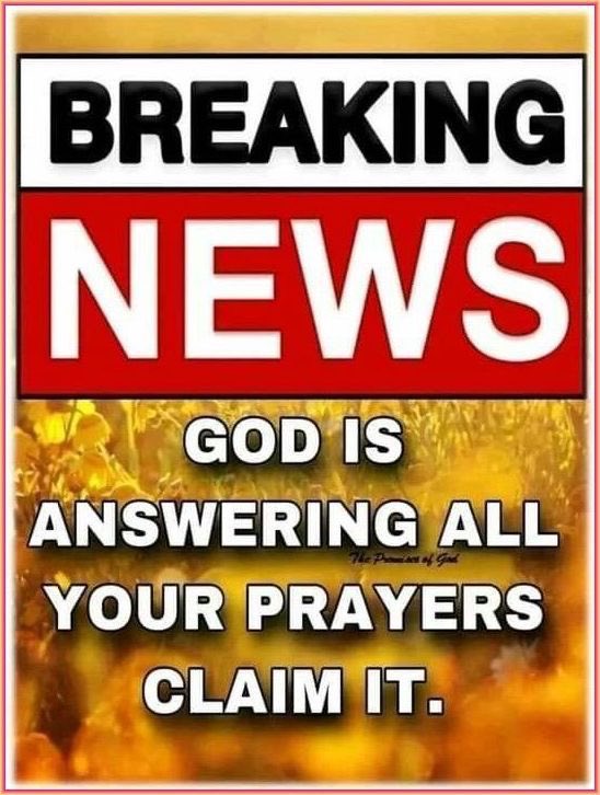 ProgressCode🌺 tweet media