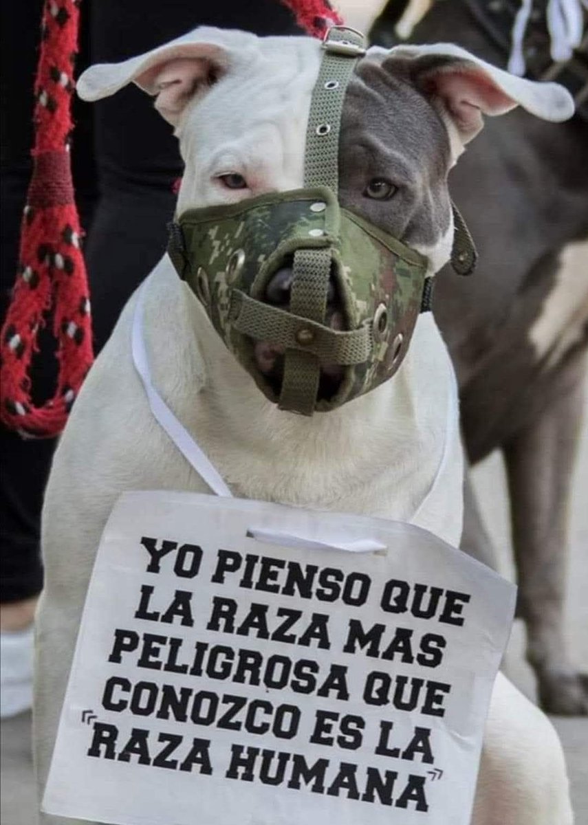 Manu Saenz💛💛 tweet media