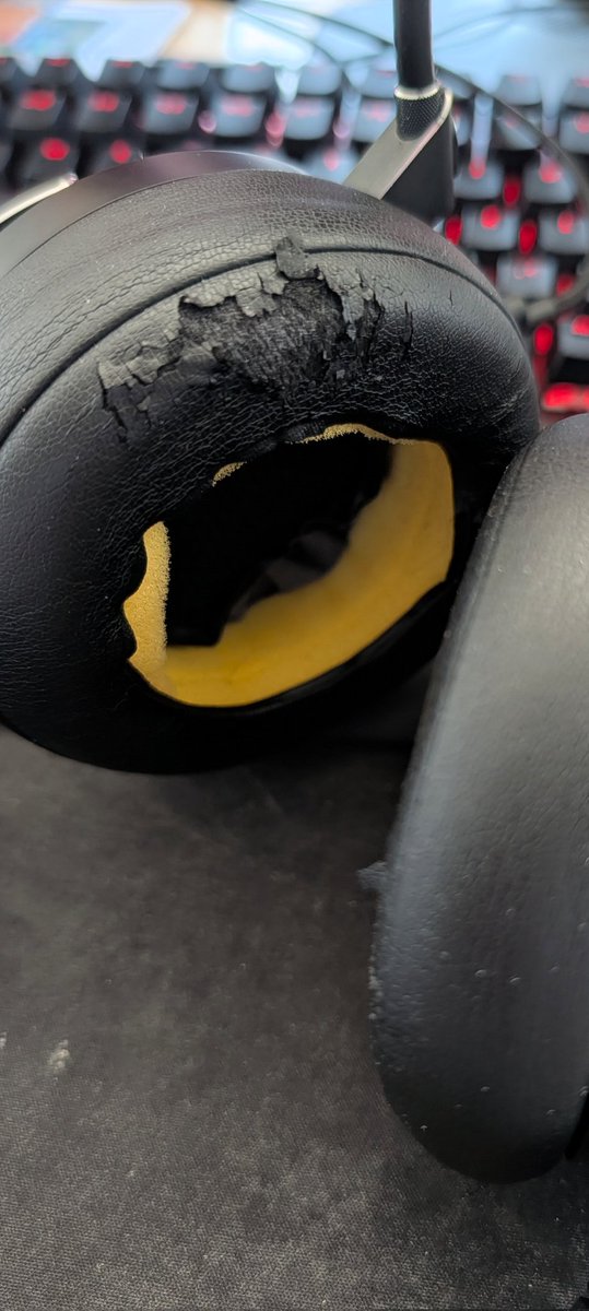 RustyPup tweet media