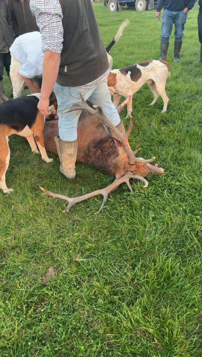 HSA Chair tweet media