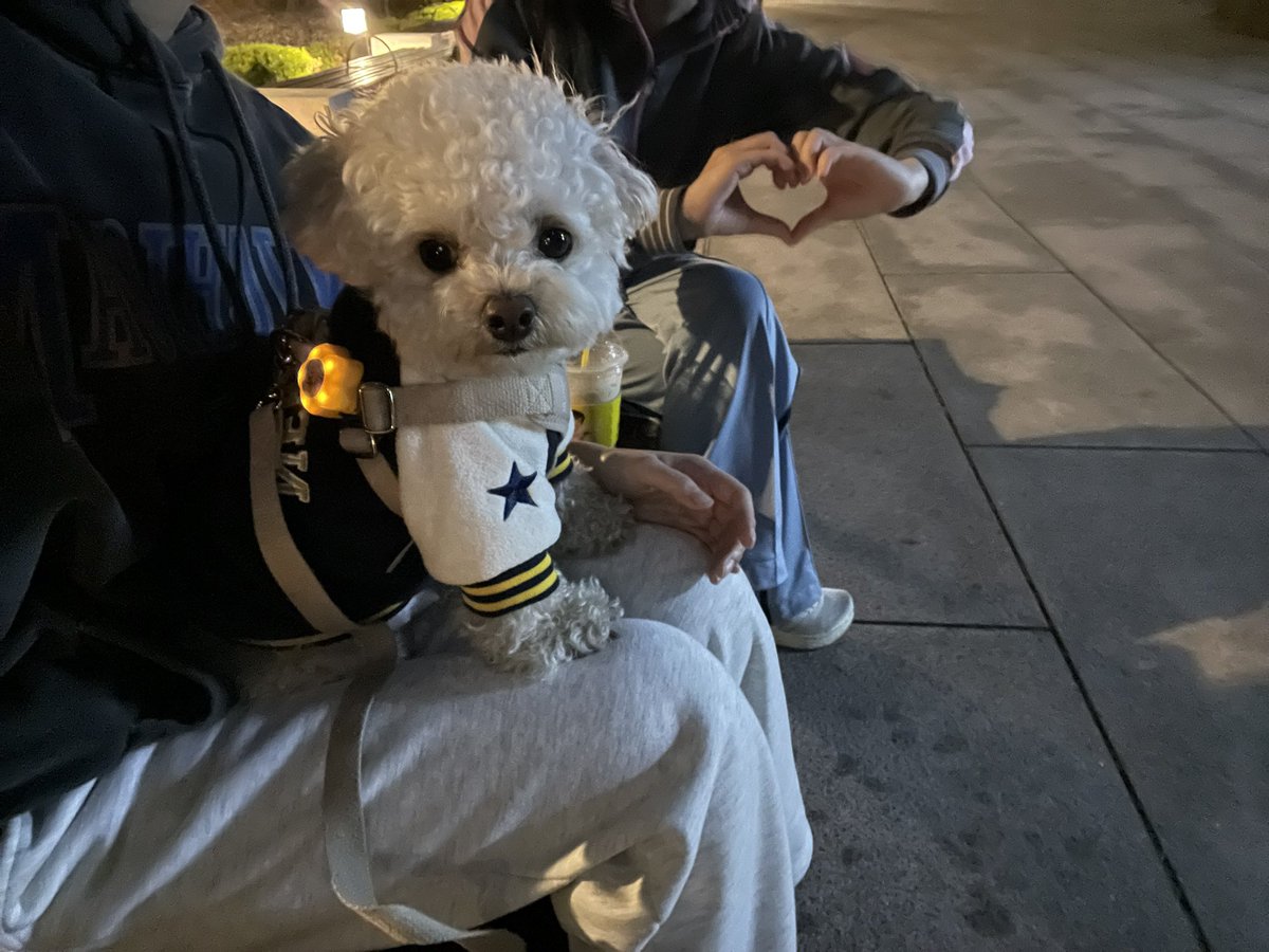 최밥풀 tweet media