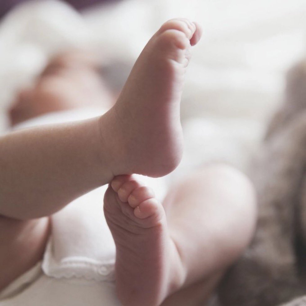 🌐 ᴛʜᴇᴘᴏʟᴀɴᴅɴᴇᴡs 🌐 tweet media