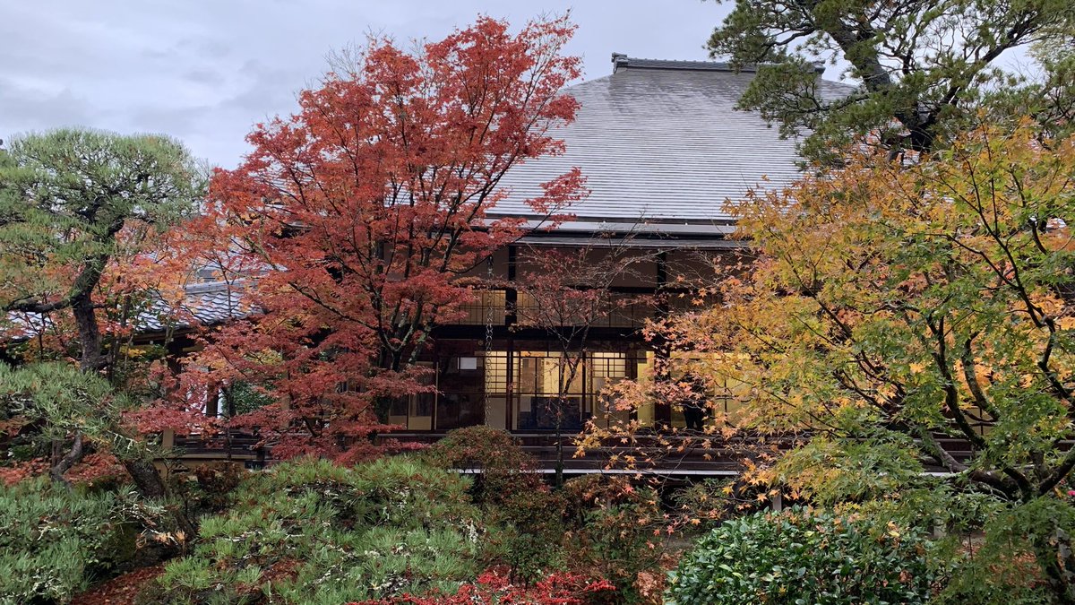 ゆうや tweet media