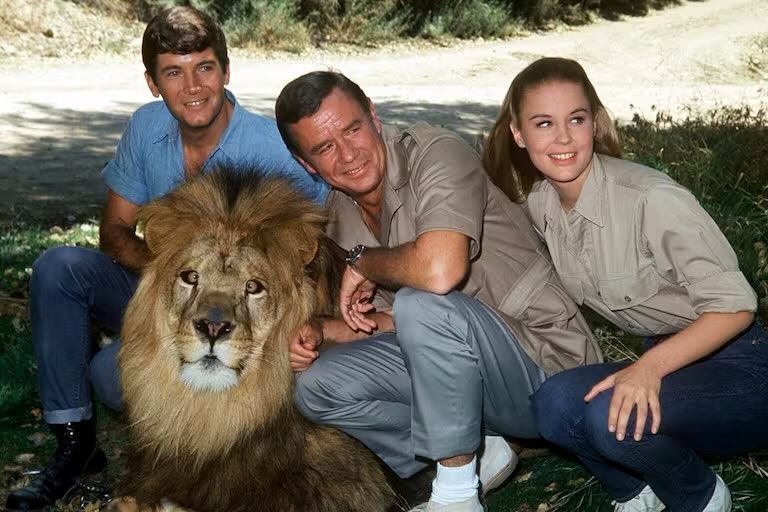 Santiago García tweet media