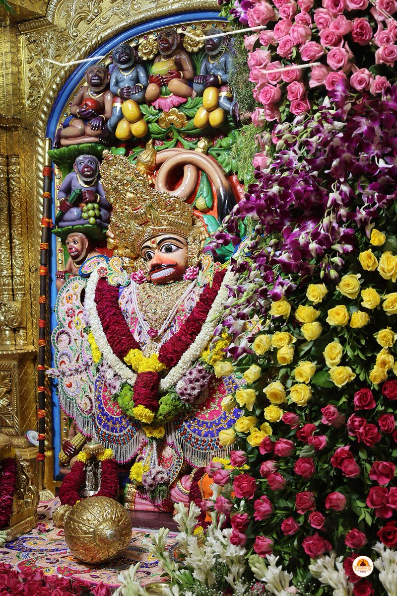 kashtbhanjandev's tweet image. Sandhya Aarti Darshan Salangpur Date : 11-04-2026
શ્રીકષ્ટભંજનદેવ દાદાને ગુલાબ-ઓર્કિડના ફૂલોનો દિવ્ય શણગાર
Jai Shri swaminarayan
Shri kashtbhanjandev hanumanji Maharaj Salangpur dham.
salangpurhanumanji.org