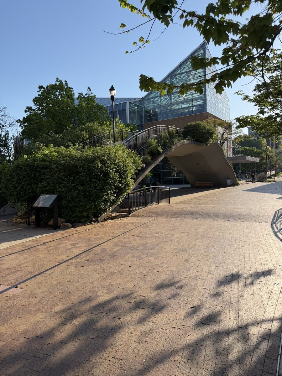 Sam Lewis tweet media