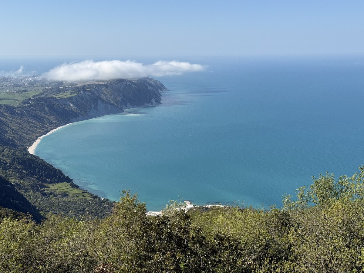 andreabalducci tweet media