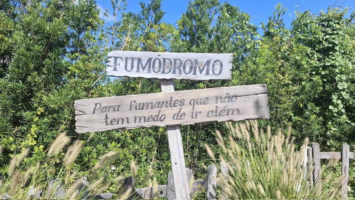 esse cemitério é SENSACIONAL

genial o fumódromo ficar aqui