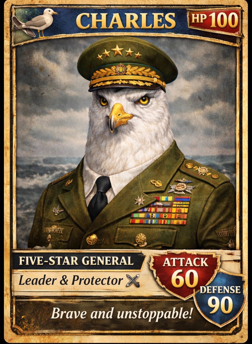 Jessica Machado tweet media