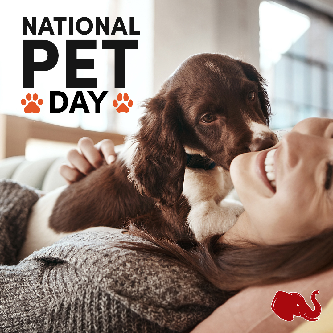 TeamUPCIC's tweet photo. Happy National Pet Day! Today is a great day to make sure your furry, feathered, and scaly friends are adequately covered by your home insurance policy. 🐾 #nationalpetday #doglover #catlover https://t.co/fr4QLqN3B4