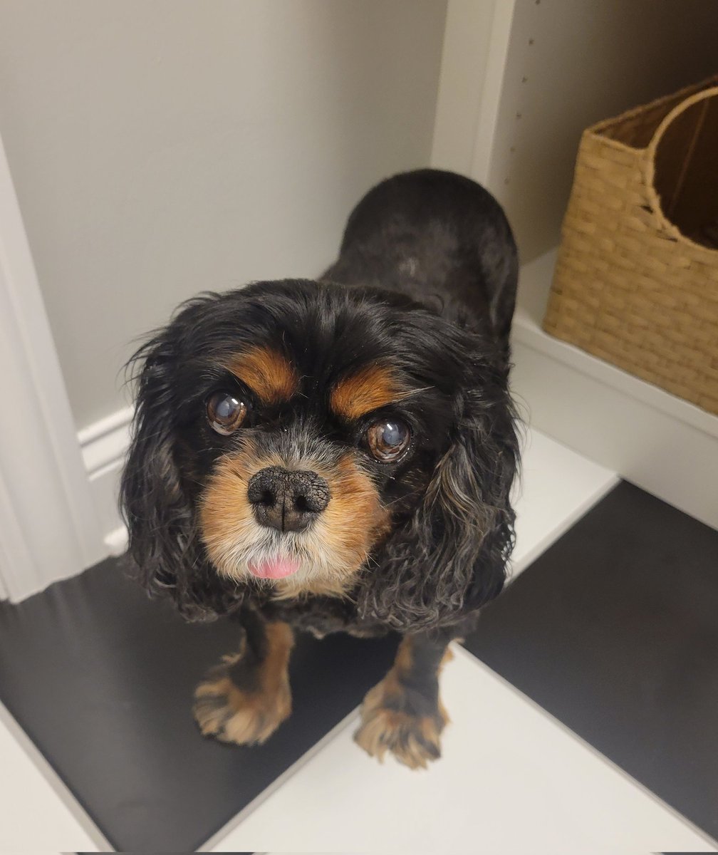 Declan Gera tweet media