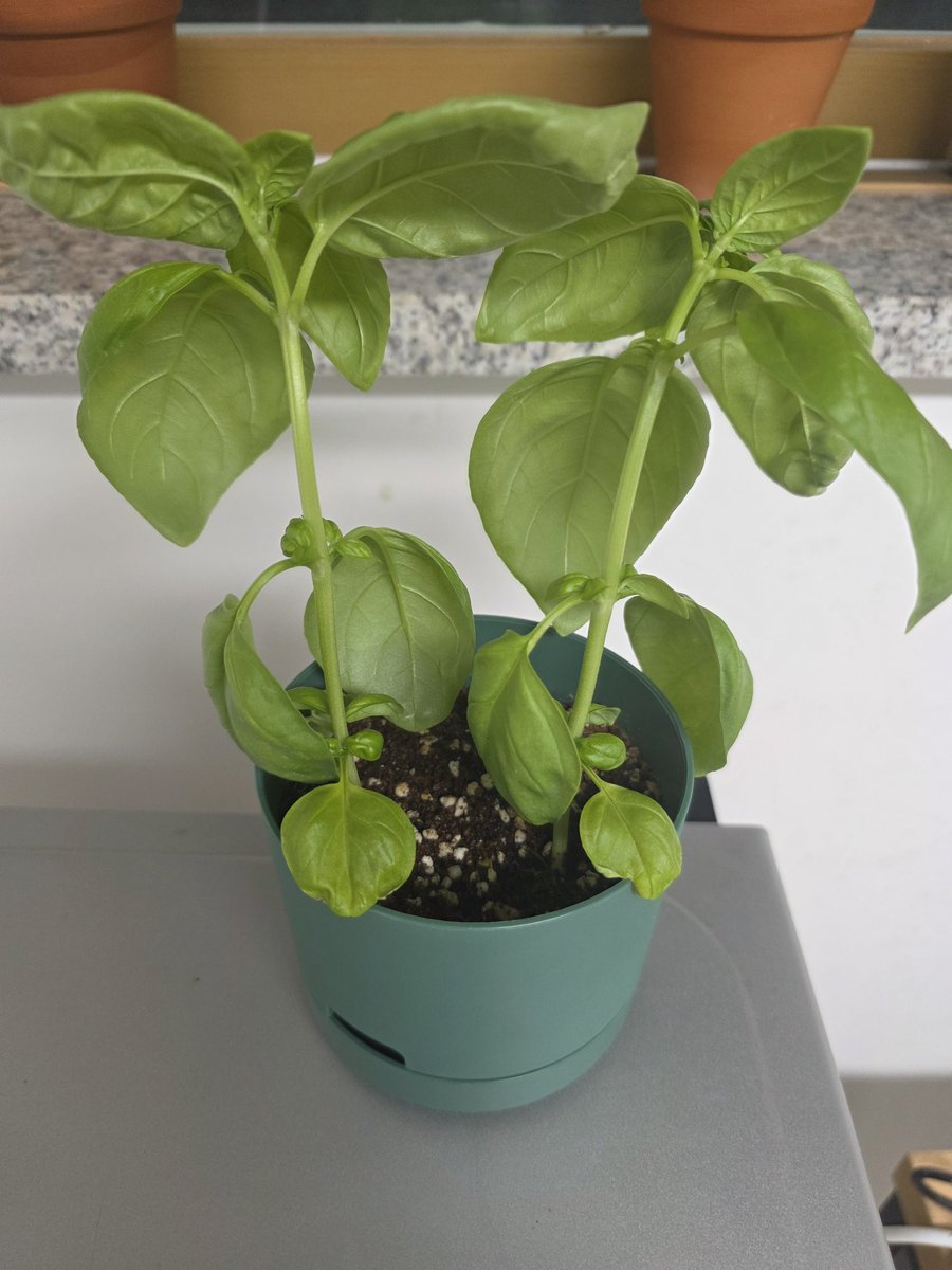 이브임. tweet media