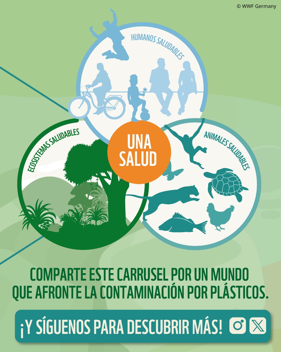 WWF Latinoamérica tweet media