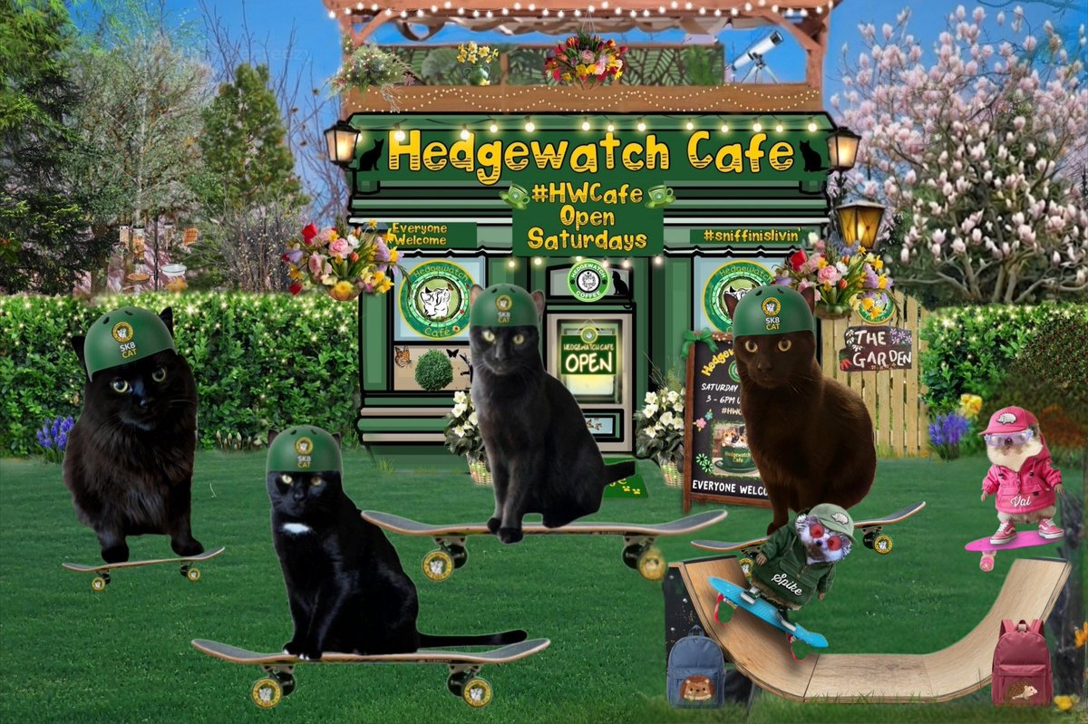 Charlie and, um. . .Bogie tweet media