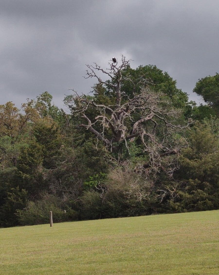 Bryan Texas Utilities tweet media