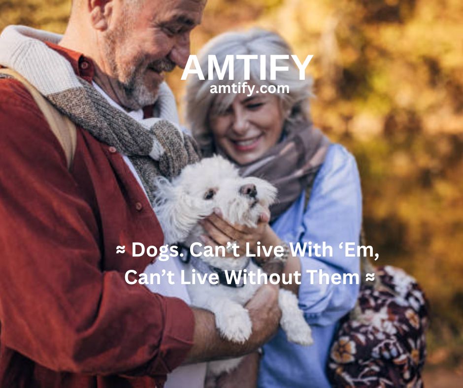 amtifyshopping's tweet image. We said we were done with dogs.

Then we remembered:
They get you walking.
Lower your stress.
And love you like you’re the best thing that ever walked through the door.
So… we’re getting another one.
“Last” doesn’t really mean last. 🐾
#DogLife #Dogs #RescueDog #LifeLessons