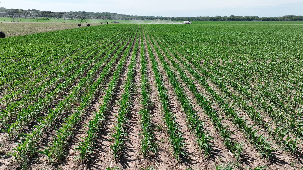 Streamline Ag LLC tweet media