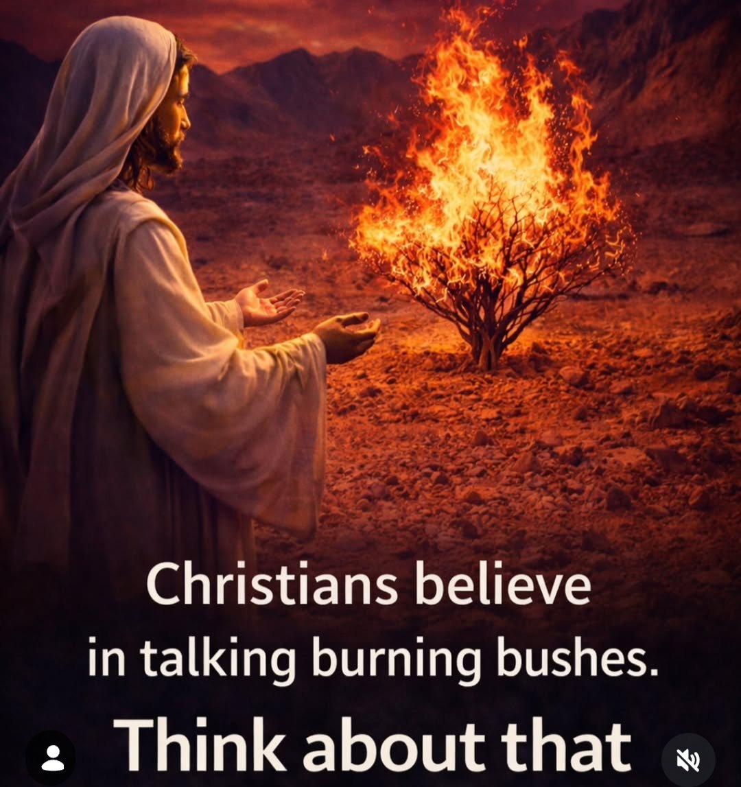 Bible Bologna tweet media