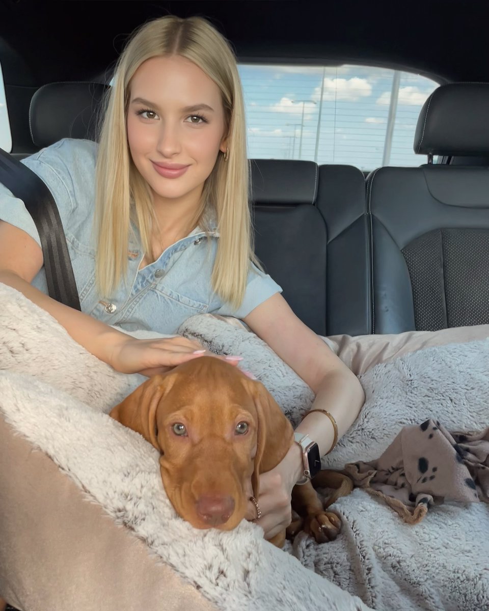 Anna711l's tweet photo. Road trip buddy for life 🐶 There’s nothing better than this little co-pilot’s love.
#DogMomLife
#VizslaPuppy
#RoadTripWithPup
#PuppyLove
#BestFriendForLife
#DoggoDiaries https://t.co/37syYgFXuQ