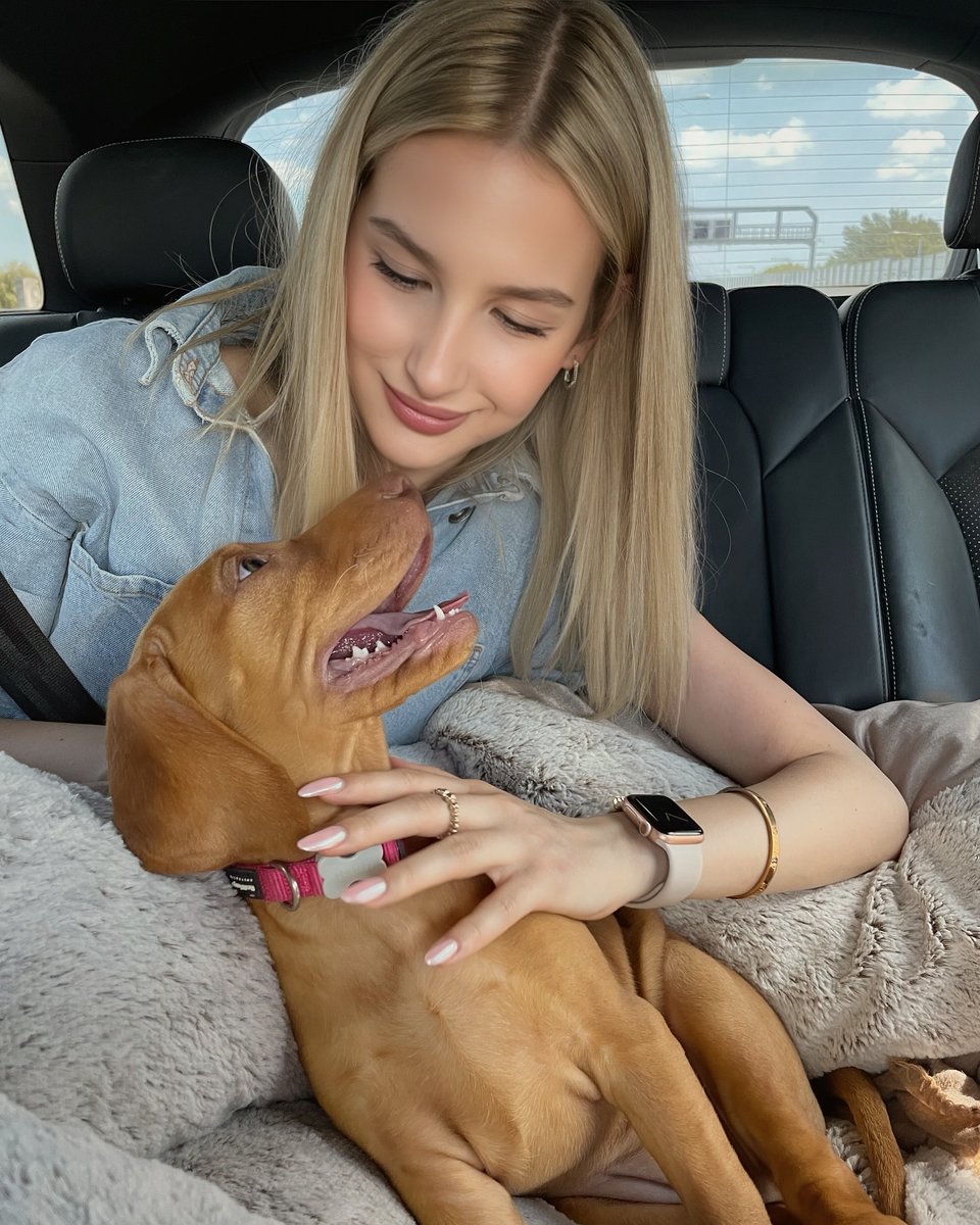 Anna711l's tweet photo. Road trip buddy for life 🐶 There’s nothing better than this little co-pilot’s love.
#DogMomLife
#VizslaPuppy
#RoadTripWithPup
#PuppyLove
#BestFriendForLife
#DoggoDiaries https://t.co/37syYgFXuQ