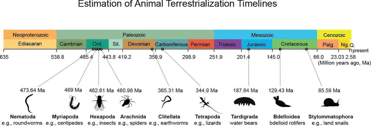 ERIC VAN VAERENBERGH-艾瑞克 tweet media