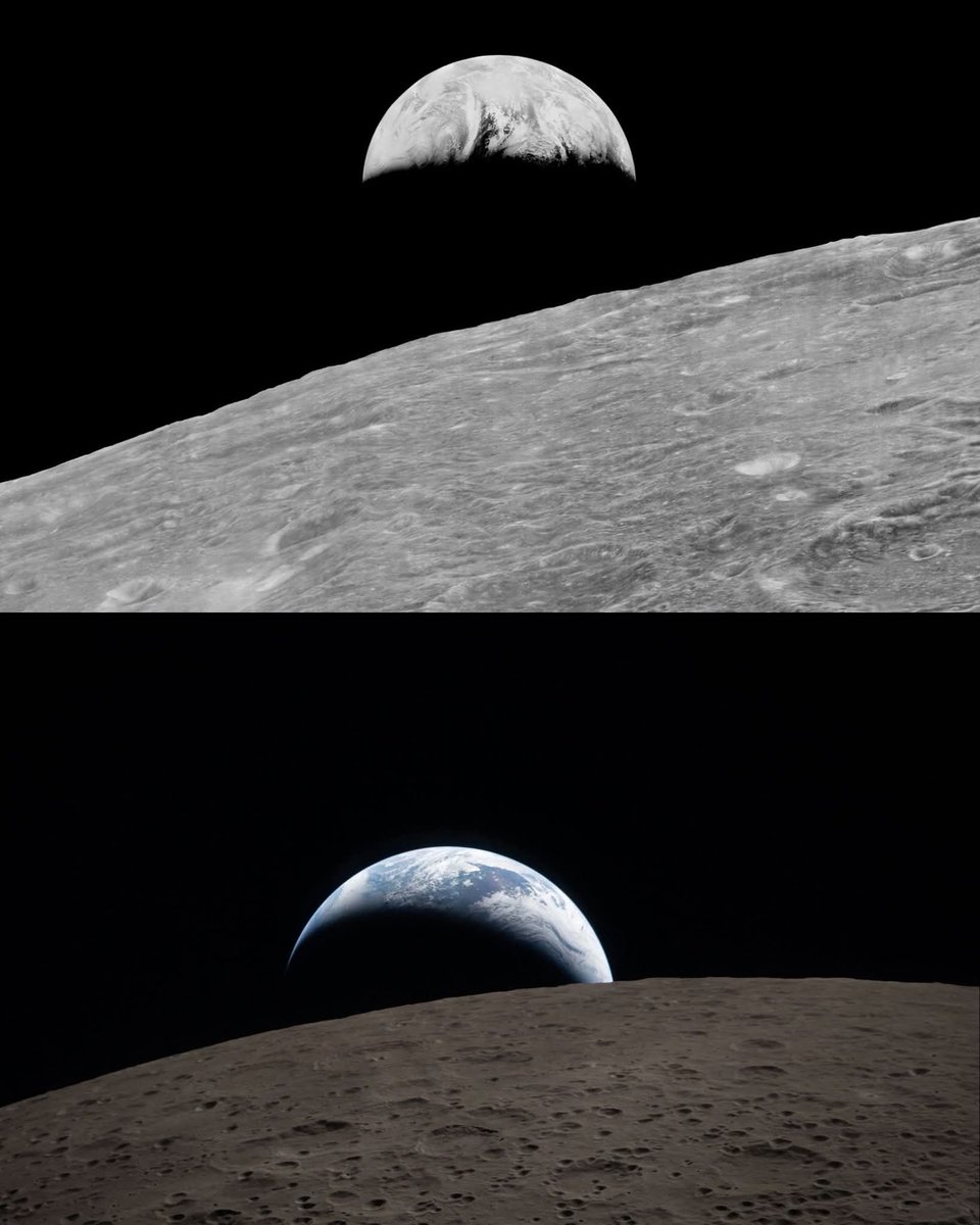 Xolcin※ tweet media