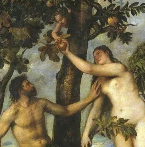 appletree1270's tweet photo. 突然意识到：
在Nai的认知里，他是Adam，Vash是Eve
那么Rem在Nai眼里，某个角度来看是不是等于那条哄骗Eve吃下禁果的蛇呢
Eve吃下禁果（智慧树果实，可知善恶）后，有了羞耻心，最后和Adam一起被赶出eden，失去了乐园。
而vash受到Rem的教育（在Nai眼里这何尝不算一种蛊惑？），了解了人类的善恶，因此……也对手足乱伦有了羞耻心
此后Vash拒绝和nai在一起建立属于他们的乐园

Nai重建乐园的前提是否也是因为曾经失乐园呢🥲