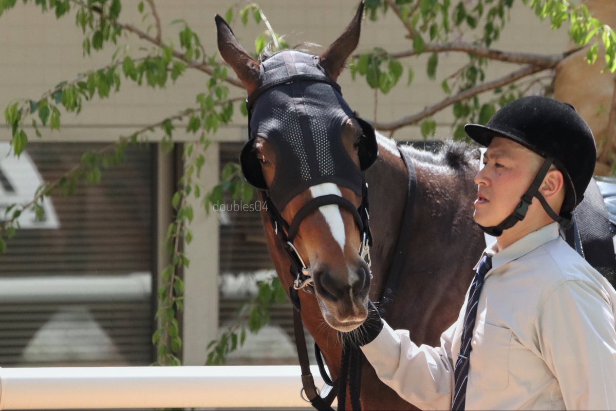 さや@04 tweet media