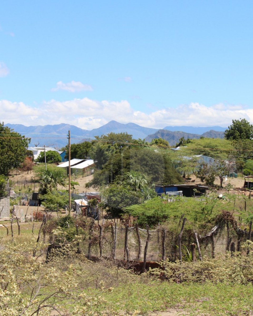 LISTÍN DIARIO tweet media