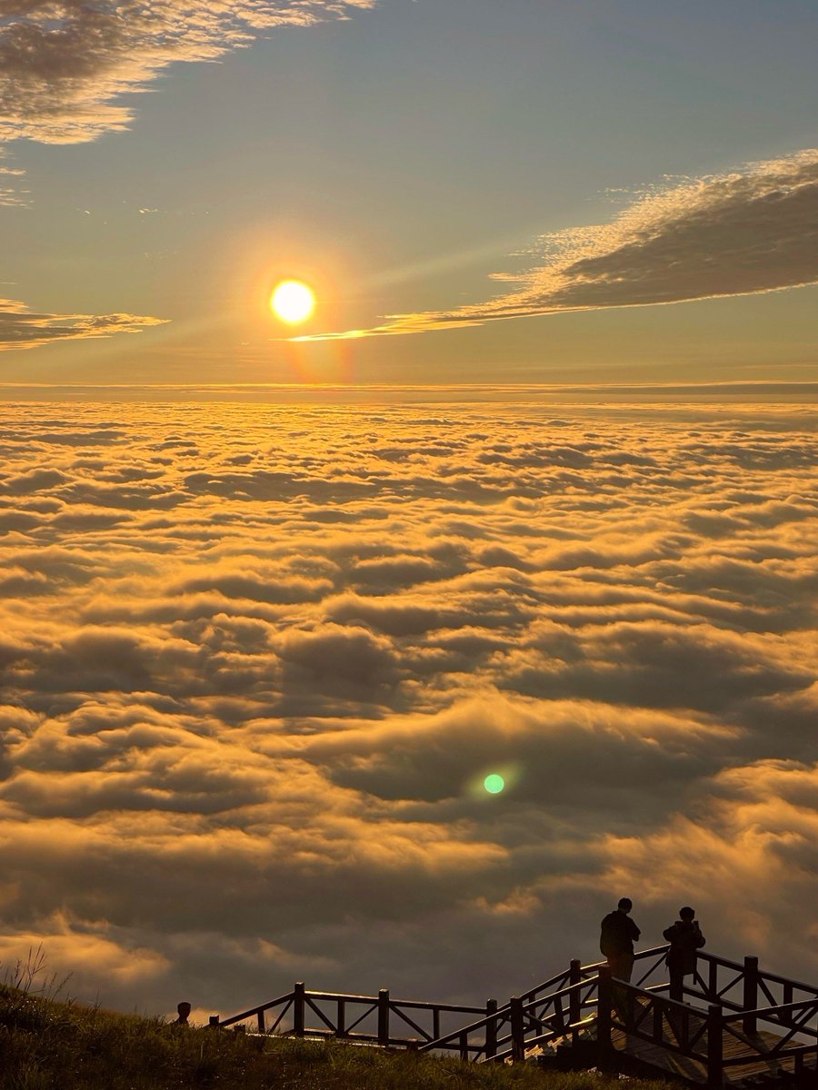 Aalim Sahab tweet media