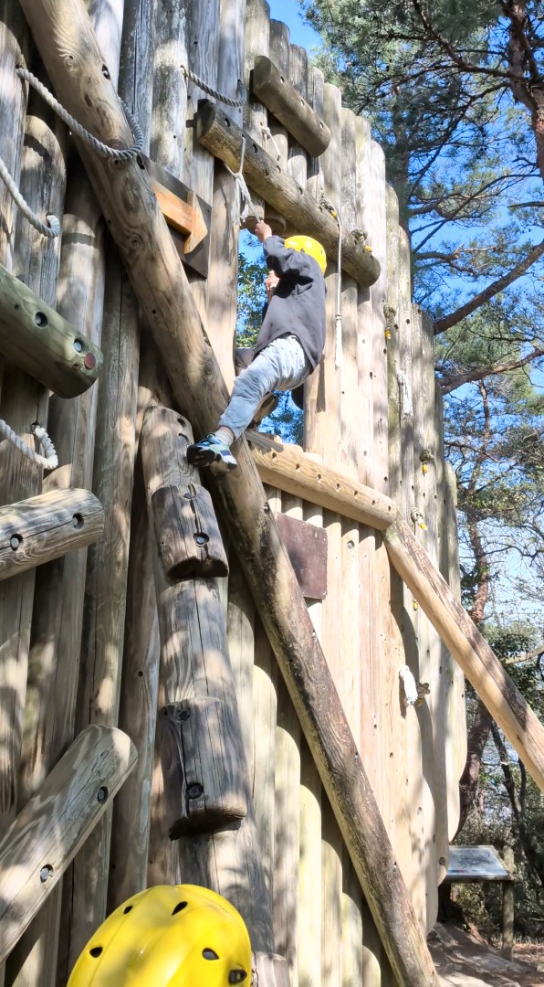 みしゃ tweet media