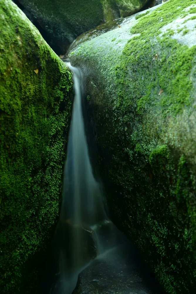 Amandauz4r's tweet photo. Gathering strength in silence, ready to burst forth
Good morning. May your heart be as clear as a mountain spring🍵
#GoodMorning #HealingScenery #MountainSpring #StartTheDayRight https://t.co/sGjTzkNkKK