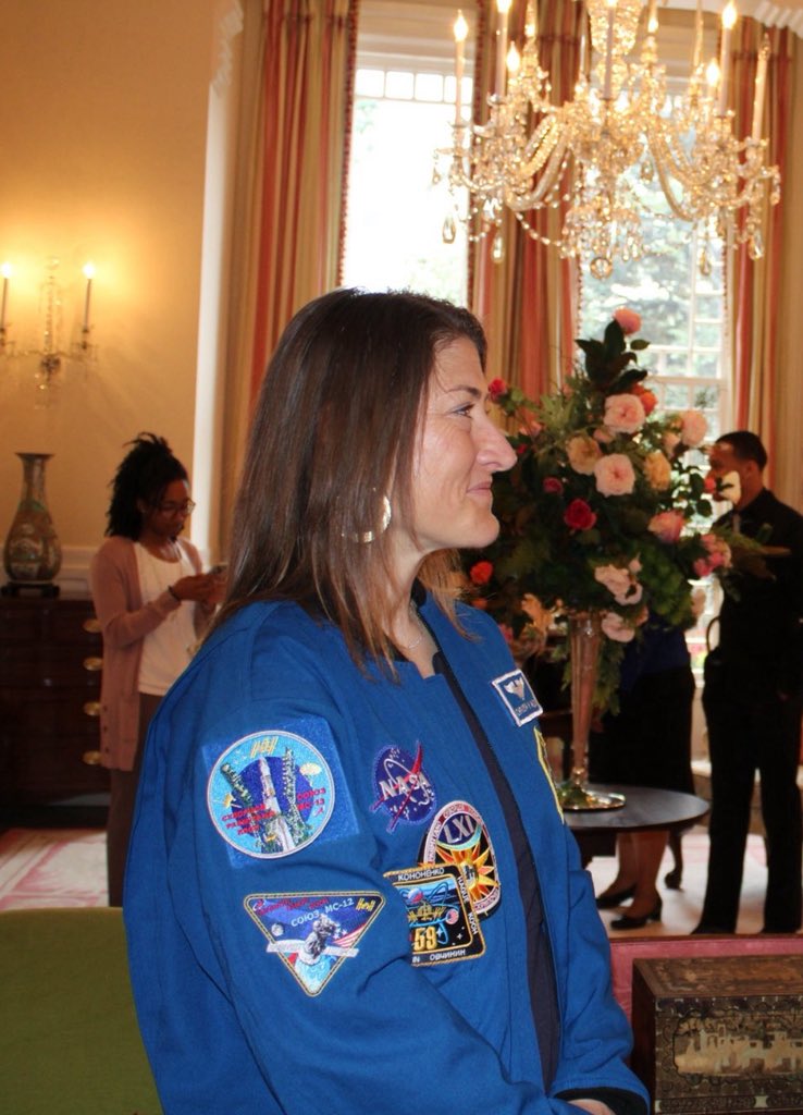 project hail dado ⚢ tweet media