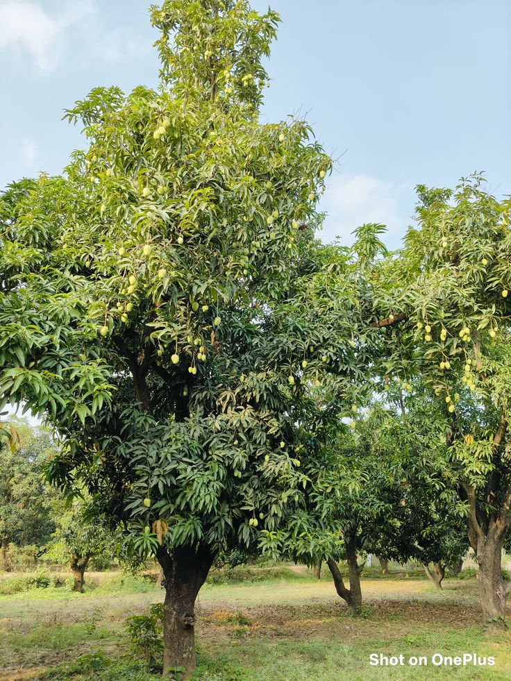 Follow and rt must 
<a href="/nigam58331/">Nigam Singh</a>
<a href="/queen162927/">जागृति</a> 
<a href="/DivyaKashy43898/">☆~ ASHTHA ~☆</a> 
<a href="/Keshaw151/">आध्या</a> 
<a href="/Aditi__0112/">अदिति</a>
<a href="/Divya_0405/">༺ दिव्या ༻</a>
<a href="/cuteshivi77/">Shivalika</a>
<a href="/Shiva0017545016/">Shiva हिंदू</a>
<a href="/guptaji014014/">Sadhana</a>
<a href="/ABHIRK0408/">SALONI 🫰</a>
<a href="/Madankkharel/">madanmohan</a>
<a href="/pradeep14869/">Pradeep Tiwari</a>
<a href="/sanatansingh_/">Sanatan Singh</a>
<a href="/Meningioma_host/">Meningioma Host</a>
<a href="/RahulKu88330936/">Rahul Gupta Sahu</a>
<a href="/priyakantparida/">Priyakant Parida 🇮🇳</a>
<a href="/cevat3421/">Elinda</a>
<a href="/P3985Pandey/">Prabhakar Pandey</a>