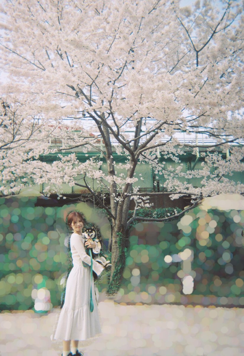 Cyu_zzZ's tweet photo. いぬ、1才 https://t.co/pvy1Ba7n35
