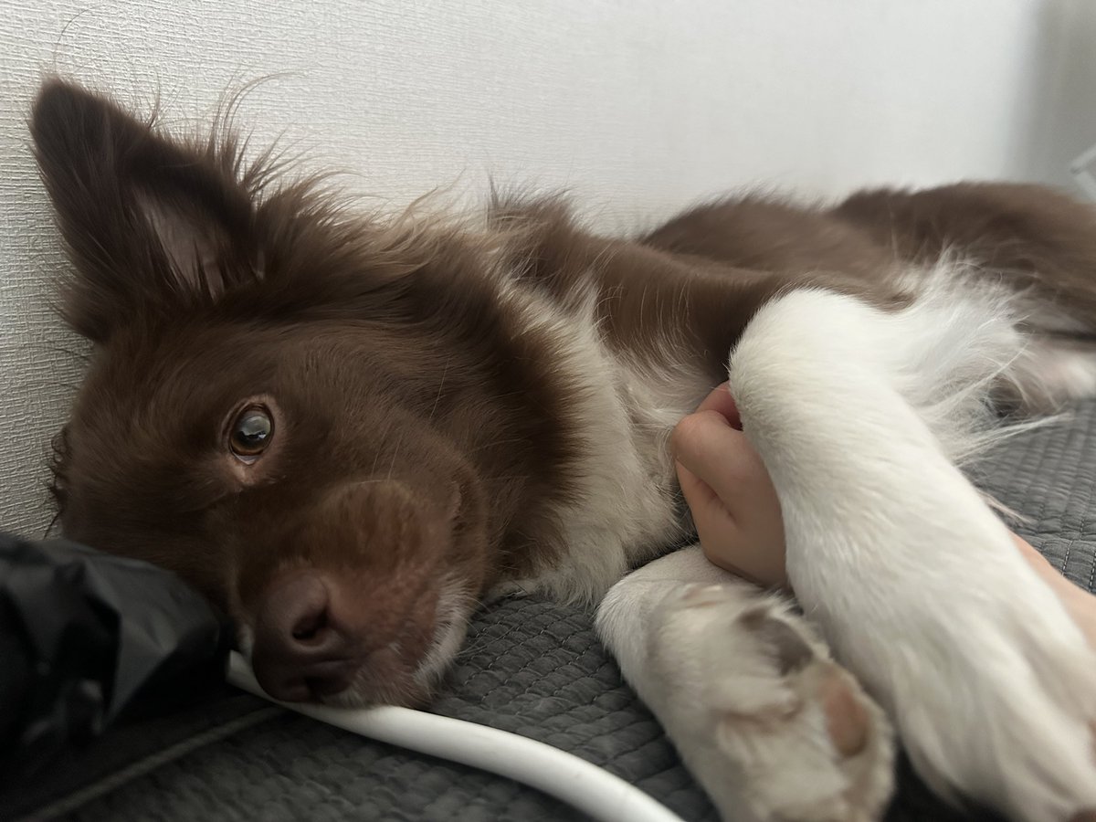 밤팅이.. tweet media