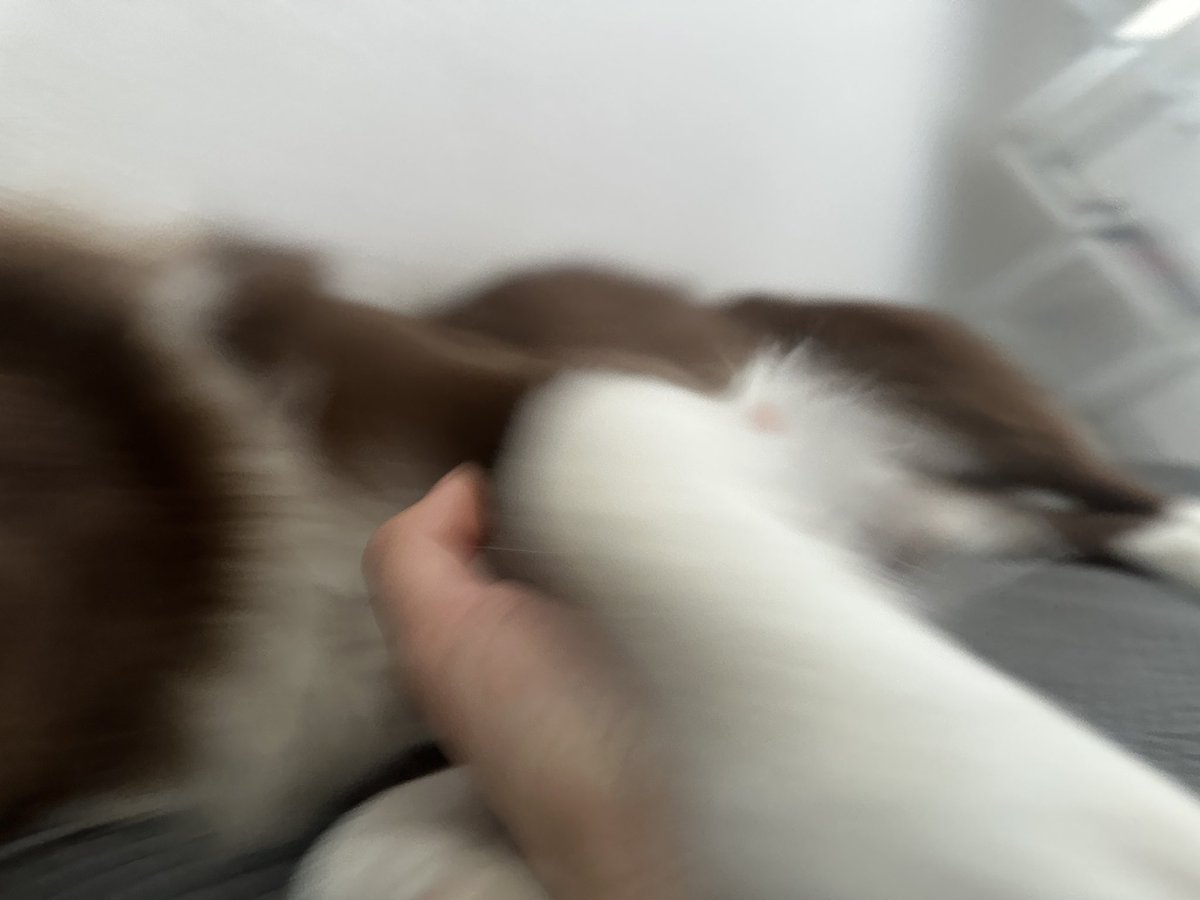 밤팅이.. tweet media