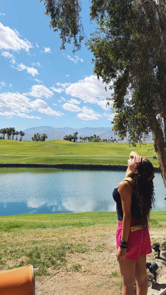 Nour Ardakani Brasil tweet media