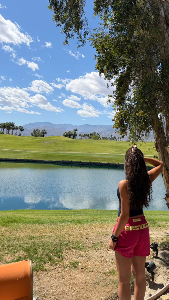 Nour Ardakani Brasil tweet media