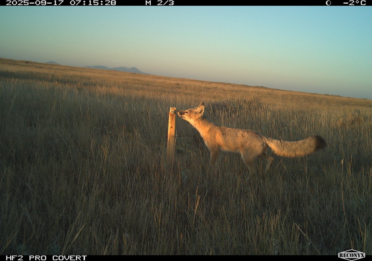 Alberta Environment and Protected Areas tweet media
