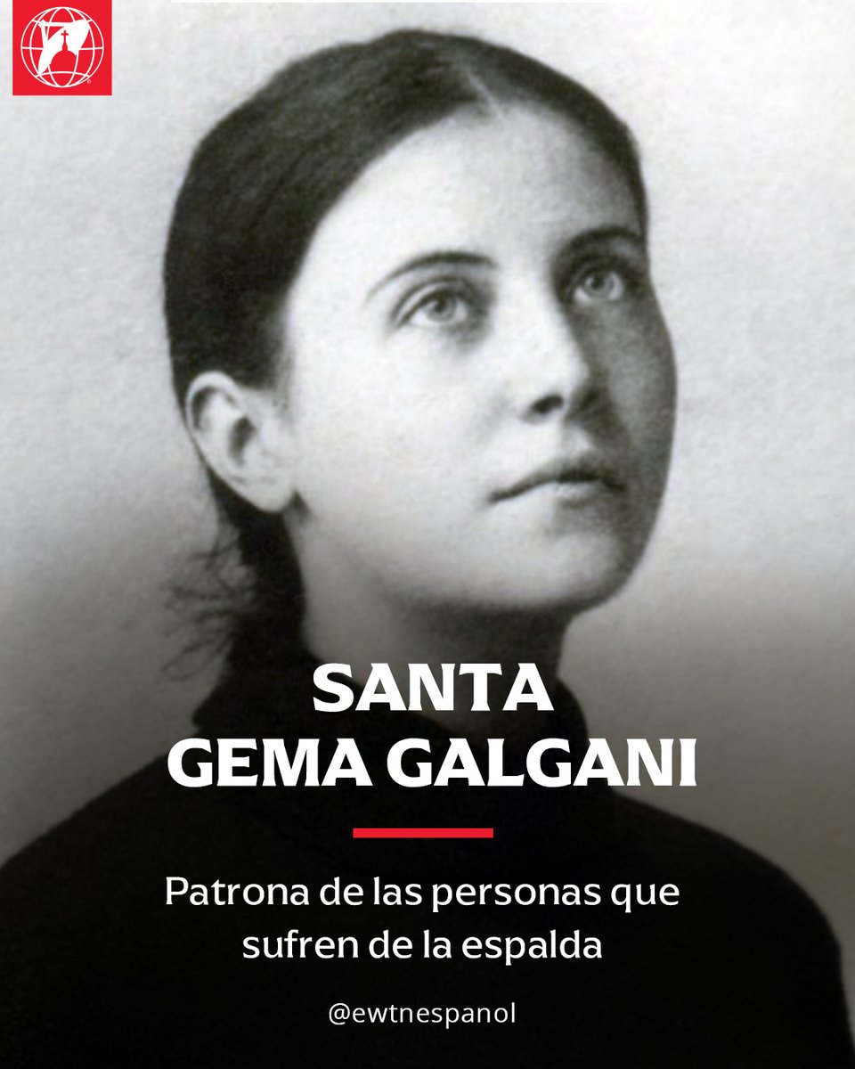 EWTN ESPAÑOL tweet media