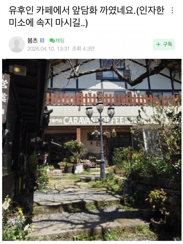 텍사스트럭기사 tweet media