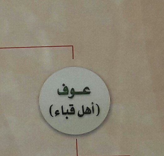 د/عبدالمحسن بن طما tweet media