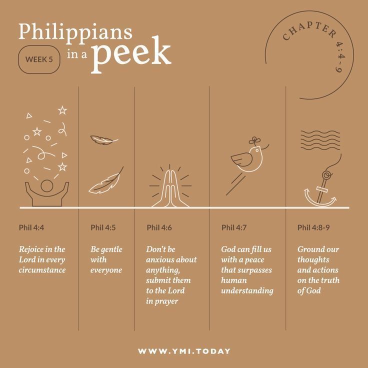 Josh Barzon tweet media