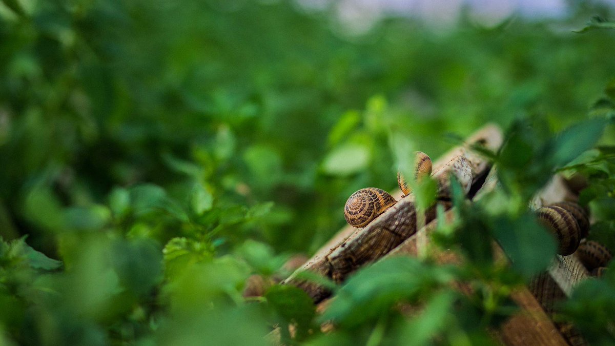 Turismo Baleari tweet media