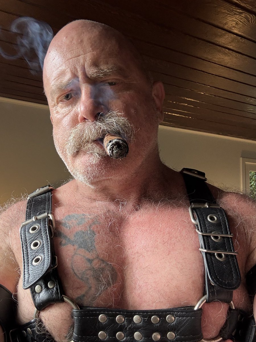 MikeDozer tweet media