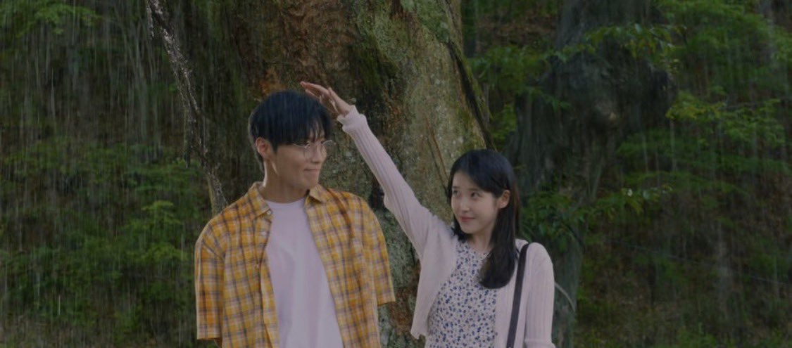 🫧 tweet media