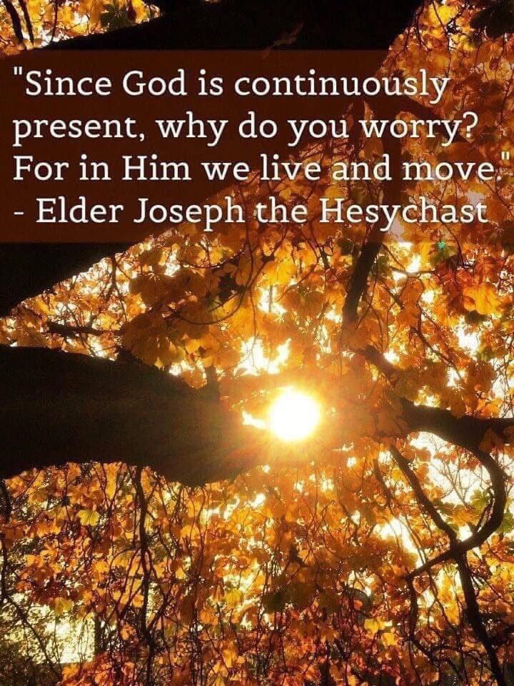 Jonah In Wales 🦊 tweet media